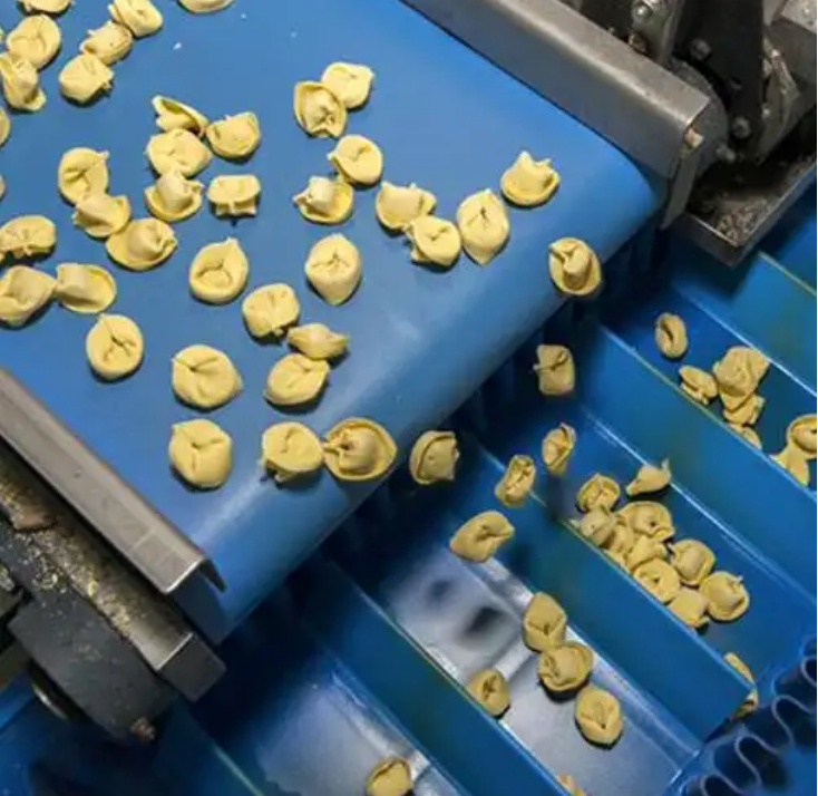 天圳輸送帶（dài） | 食品加工（gōng）生產應該使用哪（nǎ）種輸送（sòng）帶？